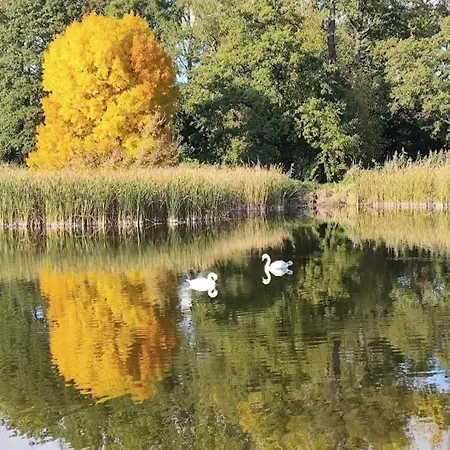 Luxury House With Garden Near Chopin Airport