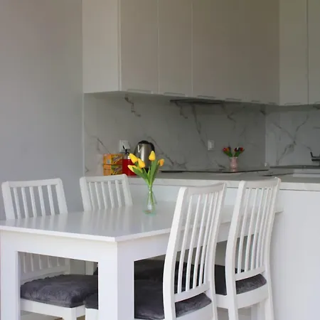 Luxury House With Garden Near Chopin Airport Lejlighed
